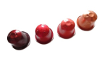 GUTSCHEIN für neXpresso schmuckdesign